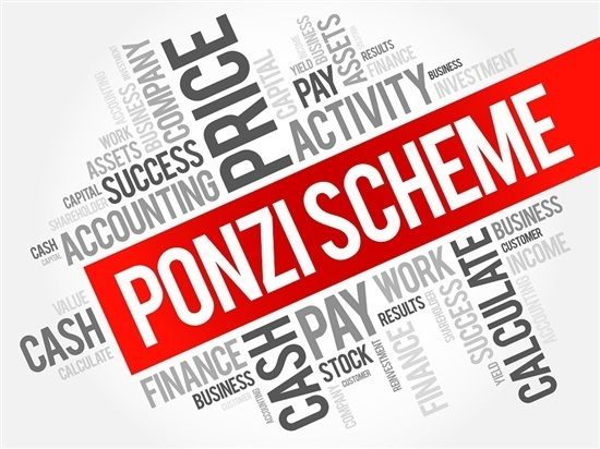 Ponzi scheme director's property will be seized | फसवणूक करणाऱ्या पॉन्जी स्कीम संचालकांची संपत्ती होणार जप्त