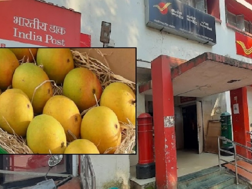 Sale of 450 boxes of mangoes from Kolhapur district from post office | पाेस्टाच्या देवगड हापूस आंब्याला कोल्हापूरकरांचा प्रतिसाद; किती पेट्यांची झाली विक्री..जाणून घ्या