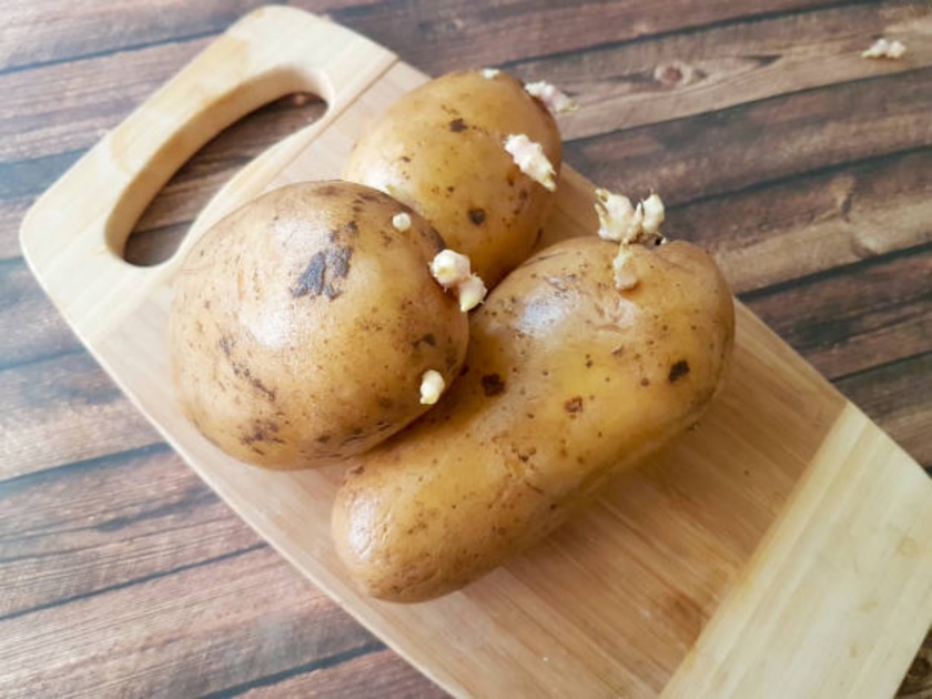 sprouted potatoes are dangerous for your health | कोंब आलेले बटाटे खाताय तर सावधच राहा, याचे दुष्परिणाम आहेत भयंकर- संशोधन