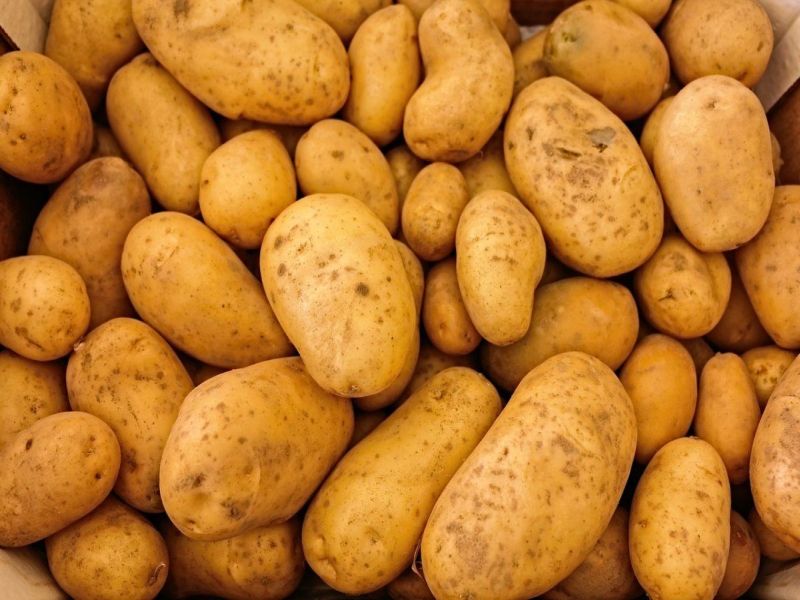 stolen 35 bag of potatoes | काय चोरलं तर बटाट्याच्या पिशव्या 
