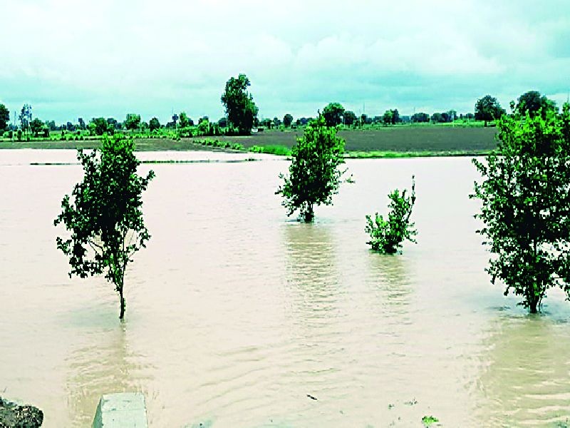 Heavy rain again in Wardha district, flood water entered four villages of Ashti tehsil | वर्ध्यात कोसळधार; पुन्हा पूरस्थितीचे संकट, आष्टी तालुक्यातील चार गावांत शिरले पुराचे पाणी