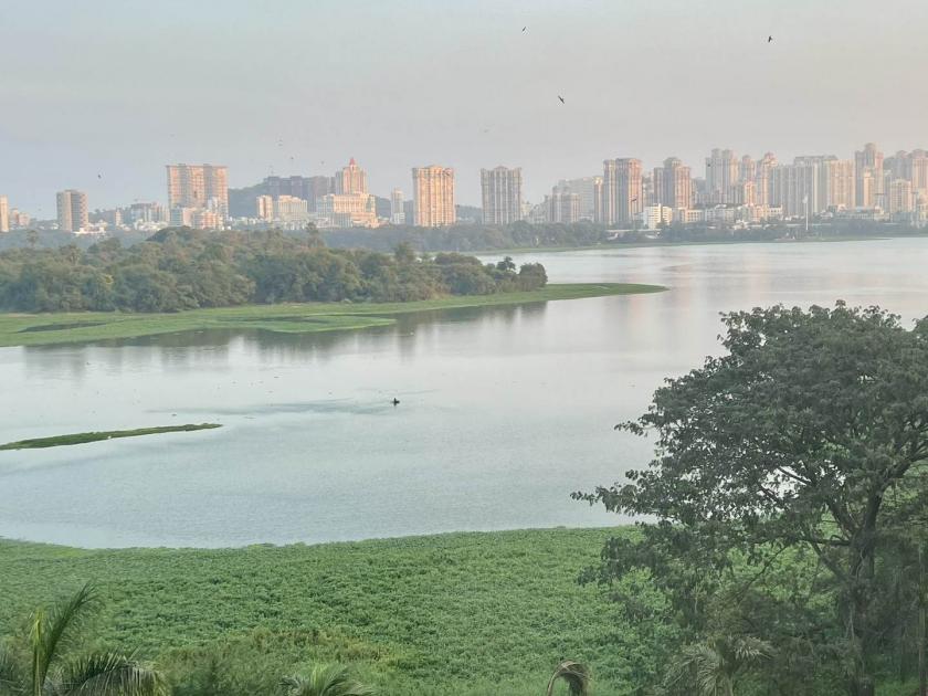 municipality to remove aquatic plants from powai lake by harvester 11 crore expenses | पालिका ‘हार्वेस्टर’द्वारे हटविणार पवई तलावातील जलपर्णी; ११ कोटींचा खर्च 