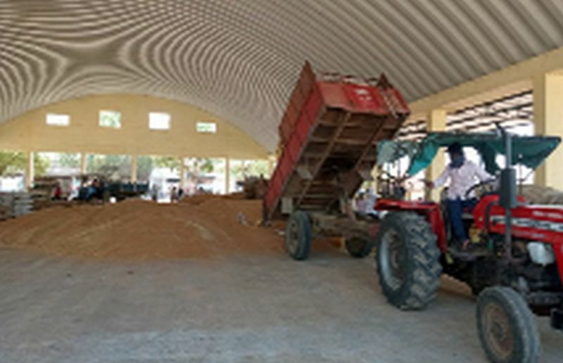 Wheat prices in Dondaicha | दोंडाईचात गव्हाला १८०० भाव