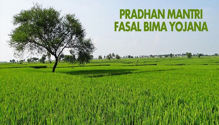Due to debtor farmers 'Prime Minister's Crops Insurance Scheme' flourish | कर्जदार शेतकऱ्यांमुळे तरतेय ‘प्रधानमंत्री पीक विमा योजना’