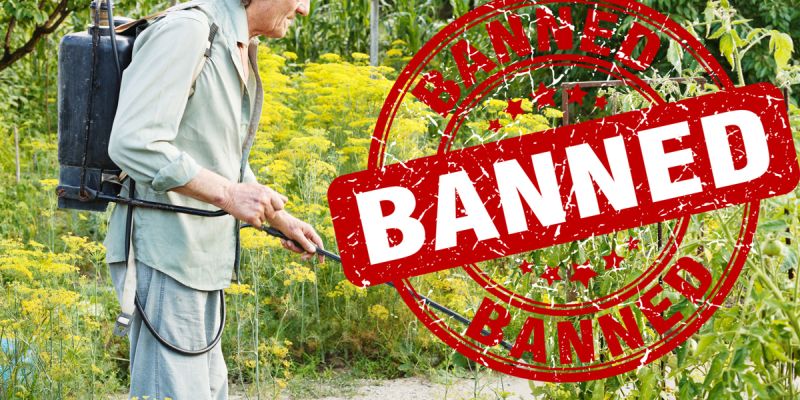 Prohibited 'Monocrotophos' causes contact poisining to farmers | प्रतिबंधित ‘मोनोक्रोटोफॉस’ उठले शेतकऱ्यांच्या जीवावर!
