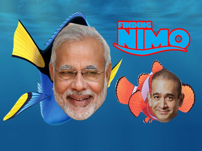 Finding NiMo and Chota Modi Social Media after PNB scam | PNB scam: सोशल मीडियावर 'छोटा मोदी’ आणि 'फाईंडिंग निमो' ट्रेंडमध्ये