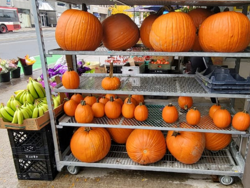 Travel Blog: Interesting stories wrapped around pumpkins around the world! | BLOG: चल रे भोपळ्या टुणूक टुणूक... Pumpkin भोवती गुंफलेल्या परदेशातील हटके गोष्टी!