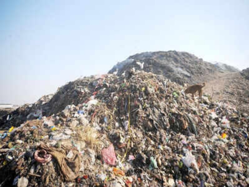 Fursungi waste projects are not aimed at 'generating electricity' | कचरा प्रकल्पांचा उद्देश ‘वीज निर्मिती’चा नाहीच : ज्ञानेश्वर मोळक