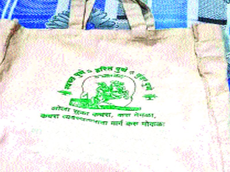 Purchase of the bags is divided into plastic | पिशव्यांच्या खरेदीचे पालिकेत फुटले पेव