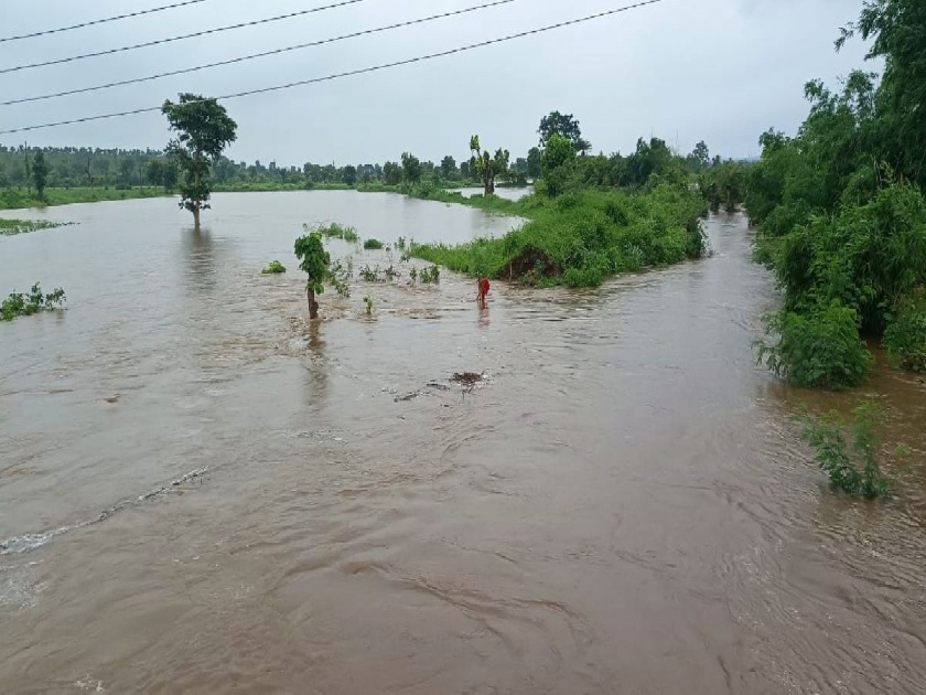 Yavatmal district hit by heavy rain again; Darwa taluka recorded 99 mm and 15 mm of rain in Arni tehsil | यवतमाळ जिल्ह्याला पुन्हा अतिवृष्टीचा फटका; दारव्हा तालुक्यात ९९, आर्णीमध्ये ११५ मिमी पावसाची नोंद