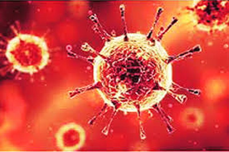 Coronavirus in Akola: 37 positive during the day, total number of patients at 257 | CoronaVirus in Akola : दिवसभरात ३७ पॉझिटिव्ह, एकूण रुग्णसंख्या २५७ वर