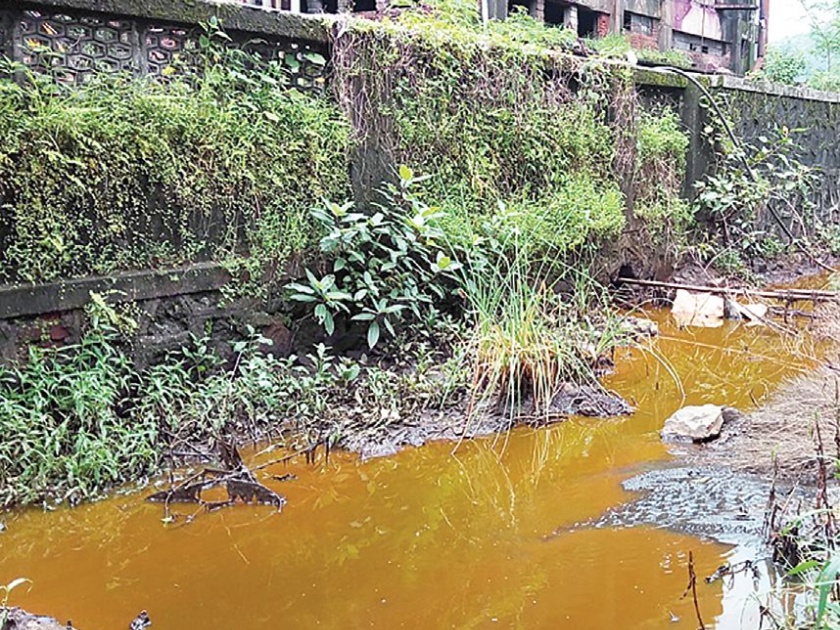 Dead fish in drains in Mahad Industrial Area; Chemical sewage is released into drains | महाड औद्योगिक क्षेत्रातील नाल्यात मृत मासे; रासायनिक सांडपाणी सोडले नाल्यात