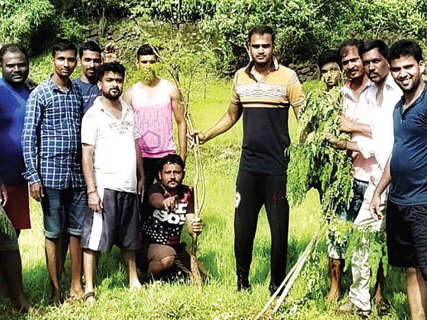 Shagavan plantation in Srivardhan; | श्रीवर्धनमध्ये शेवग्याचे वृक्षारोपण; तरुणांचा पुढाकार