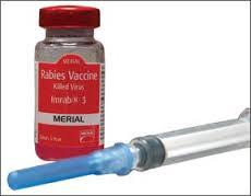 There is no 'rabies vaccine' at the Shirpur Health Center | शिरपूर आरोग्य केंद्रात ‘रॅबीज लस’च नाही