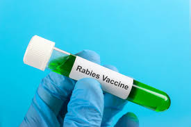 Rabies vaccine scarcity: patients refer to Akola | रेबीज लसींचा तुटवडा: श्वानदंशाचे रुग्ण ‘रेफर टू अकोला’!