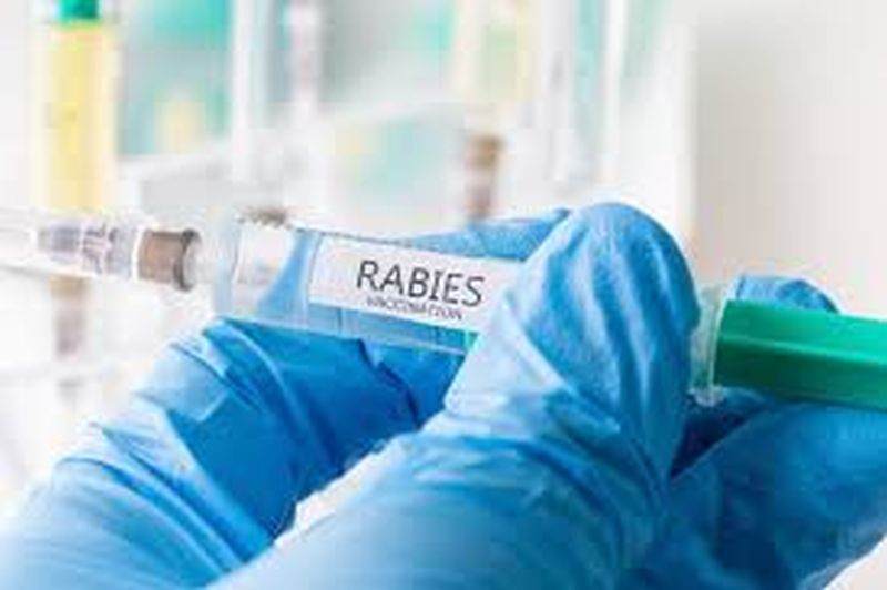 No Rabies vaccine at Shirpur Primary Health Center | शिरपूर प्राथमिक आरोग्य केंद्रात रेबीज लसच नाही!
