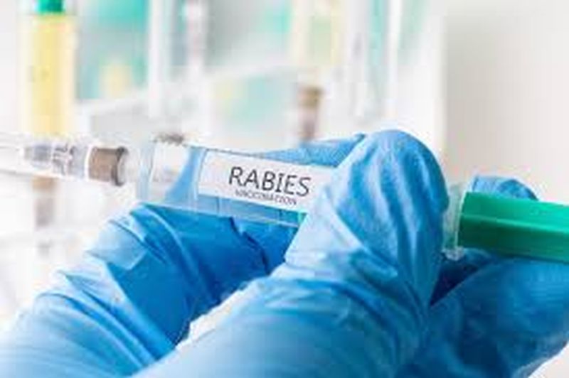 Rabies Vaccine Shortage at Mop Health Center! | मोप आरोग्य केंद्रात रॅबीज लसीचा तुटवडा !