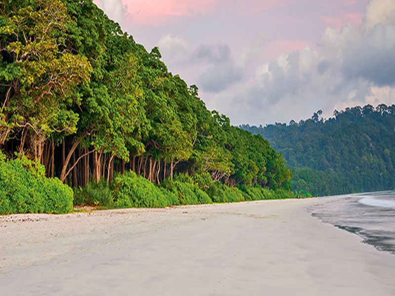 Top 5 beaches in Andaman Nikobar | अंदमानला जाण्याचा प्लॅन असेल तर या बीचवर घ्या मनसोक्त आनंद!