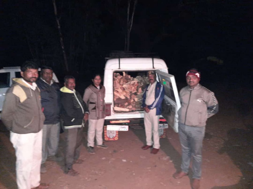 Illegal Khair transport gang caught in Forest Department trap! | अवैद्य खैर वाहतूक करणारी टोळी वनविभागाच्या सापळ्यात !