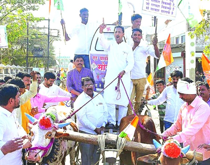 Congress bullock cart rally against petrol, diesel price hike | बुलडाण्यात इंधन भाववाढ विरोधात काँग्रेसचा बैलगाडी मोर्चा