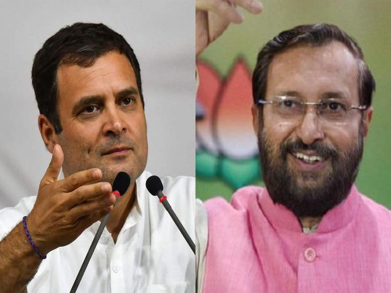 BJP targets Rahul, says he is candidate for 2019 'lie of the year' | राहुल गांधी सर्वाधिक खोटे बोलणारे; भाजपाचा NPRवरून हल्लाबोल 