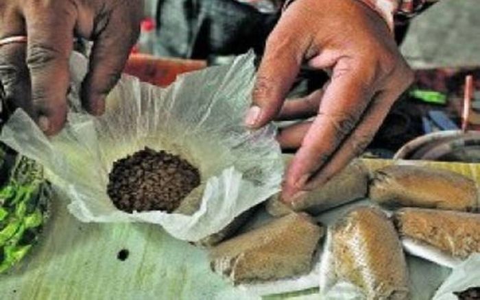 Hit campaign against Kharras, tobacco, gutkha vendors in Nagpur | नागपुरात  खर्रा, तंबाखू, गुटखा विक्रेत्यांविरुद्ध धडक मोहीम