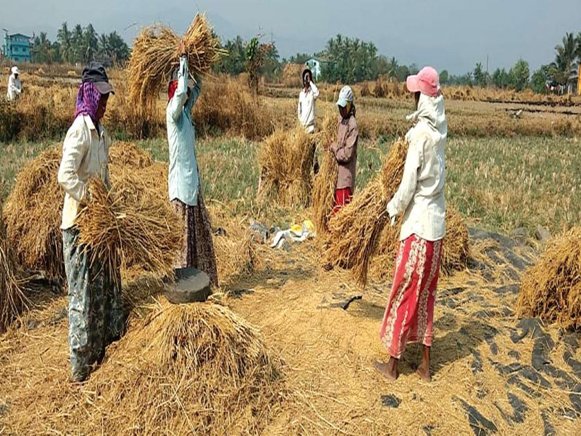 Problems in buying rice in the MIDC area | एमआयडीसी क्षेत्रातील भात खरेदीत अडचणी