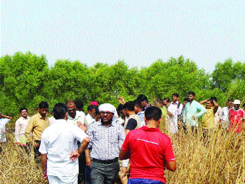 Wrong land acquisition in the Shahpur-Dhirend Kandalvan area | शहापूर-धेरंड कांदळवन क्षेत्रात चुकीचे भूसंपादन