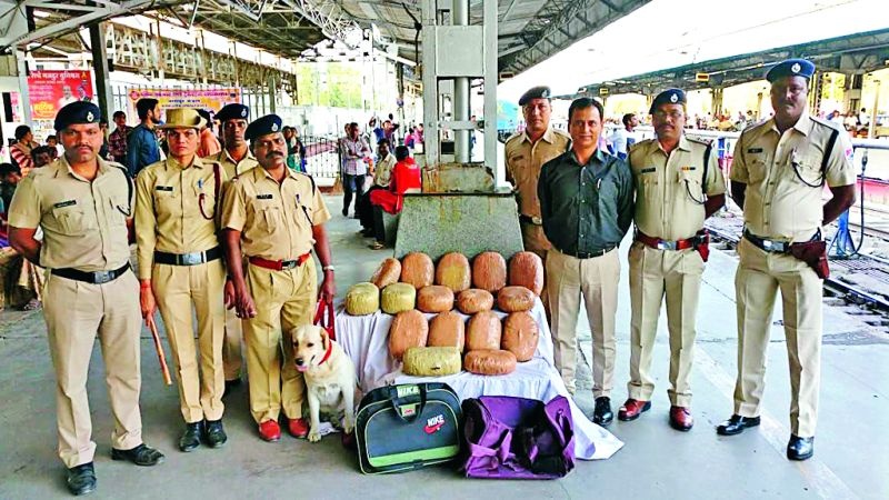 In the Nagpur railway station, 33 kg of ganja was seized | नागपूर रेल्वेस्थानकावर ३३ किलो गांजा पकडला