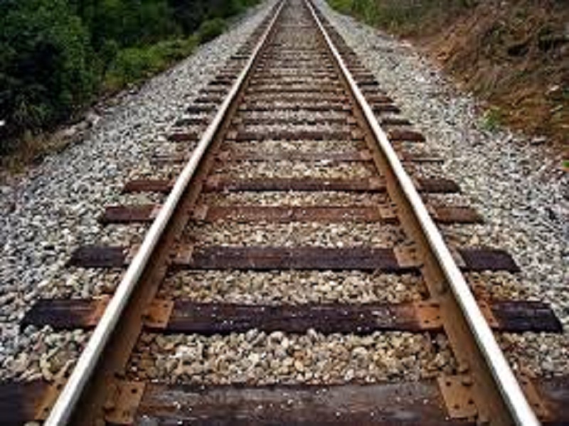Kule - Vasco Rail double tracks cleared | कुळें - वास्को रेल डबल ट्रॅकचा मार्ग मोकळा
