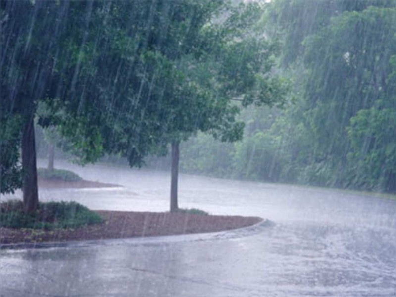 Warning of hailstorm in Vidarbha; Moderate to heavy rainfall in central Maharashtra | विदर्भात गारपीटीचा इशारा; मध्य महाराष्ट्रात वादळी पावसाची शक्यता