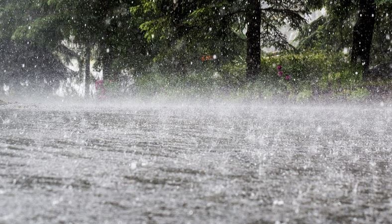 Warning of heavy rains in East Vidarbha on 10th and 11th | १० व ११ रोजी पूर्व विदर्भात अतिवृष्टीचा इशारा
