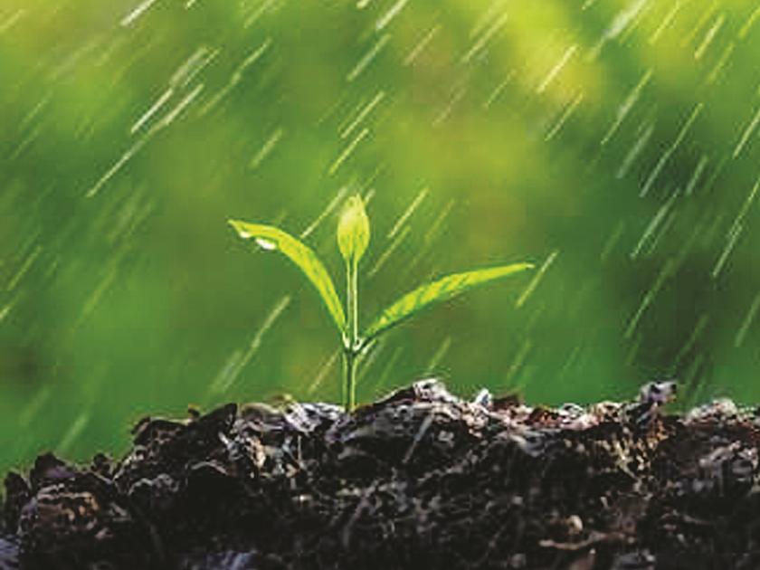 Nanded district receives 94% of average rainfall | नांदेड जिल्ह्यात सरासरीच्या ९४ टक्के पाऊस