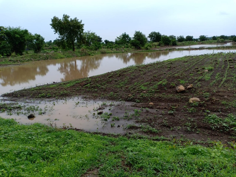 Unseasonal rains in 2019; Marathwada will get Rs 249 crore for crop loss | २०१९ मधील अवकाळी पावसाचा फटका; पिकांच्या नुकसानीपोटी मराठवाड्याला २४९ कोटी मिळणार