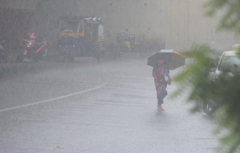Presence of heavy rains all over Vidarbha | विदर्भात सर्वदूर दमदार पावसाची हजेरी