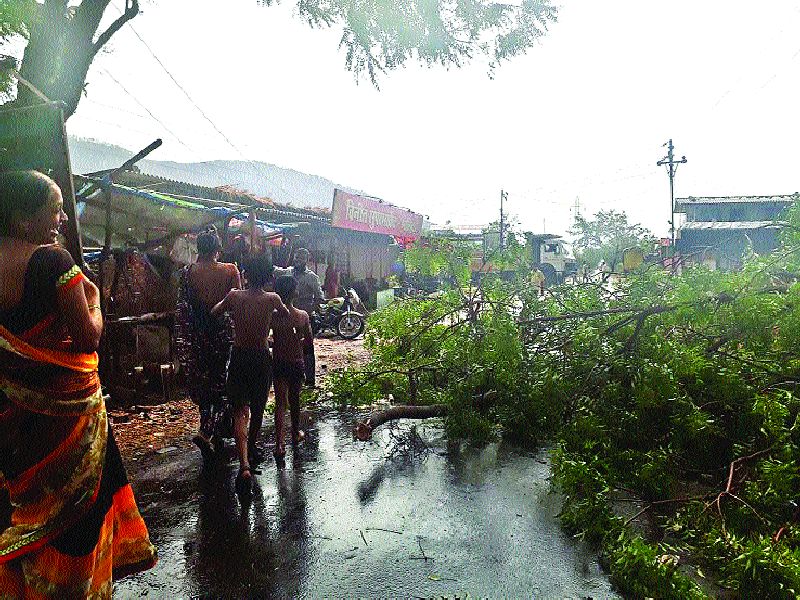 19 villages of Windy rain, Pankanema started by Mahad revenue; Mango bourgeois concern | वादळी पावसाचा १९ गावांना फटका, महाड महसूलमार्फत पंचनामे सुरू; आंबा बागायतदार चिंतेत