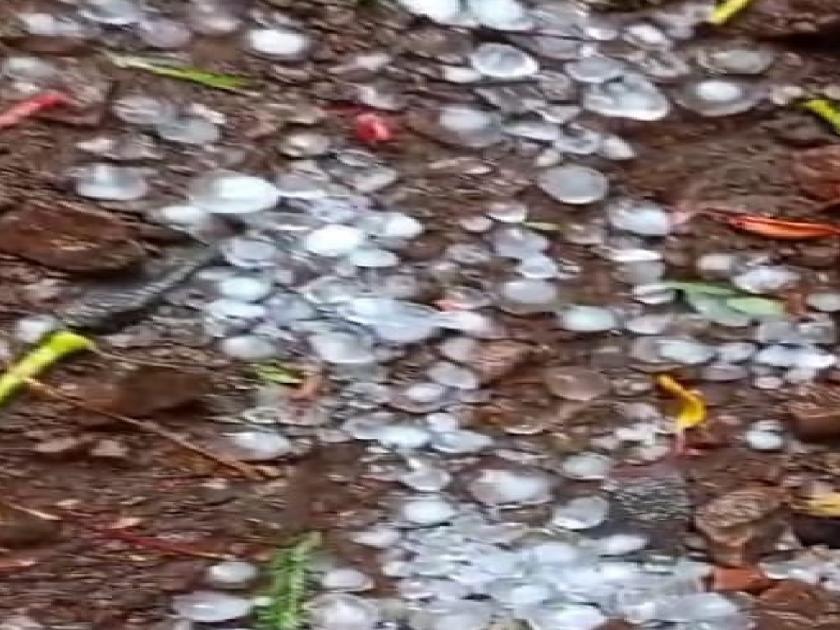 Unseasonal rain in Sangli district, Relief to citizens affected by hit | Sangli: शिराळा, वाळवा तालुक्याला गारांसह वादळी पावसाने झोडपले