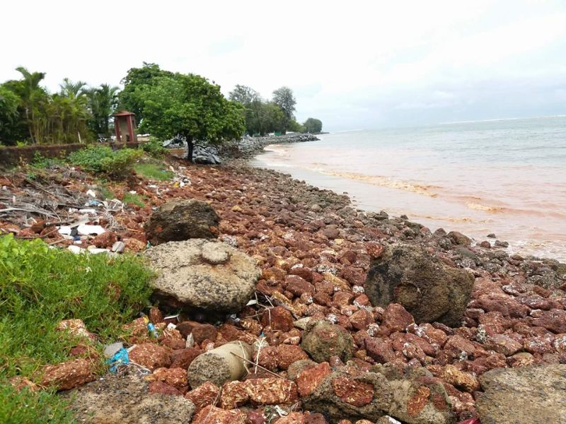  In the rainy season, the ocean shit is on the coast of Goa | पावसाळ्यात समुद्रातील घाण गोव्याच्या किनाऱ्यांवर