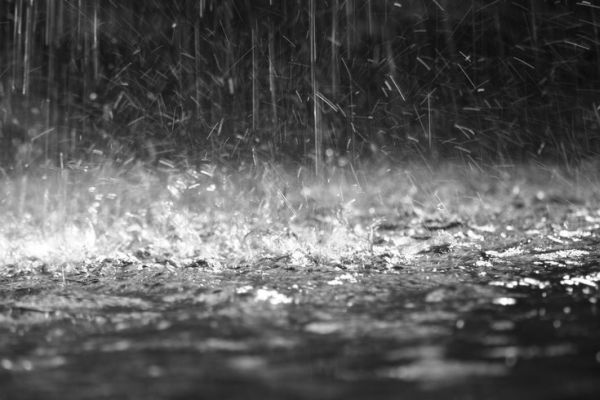 The return journey of monsoon started : The weather department announced | मान्सूनचा परतीचा प्रवास सुरु : हवामान विभागाकडून जाहीर 