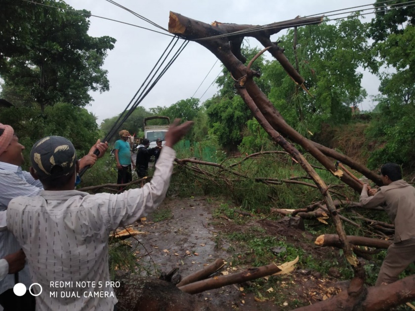 In Kameri, strong winds and rain caused a tree to fall on a power pole and bent four poles | कामेरीत वादळी वारे, पावसाने विजेच्या खांबावर झाड पडल्याने चार खांब वाकले