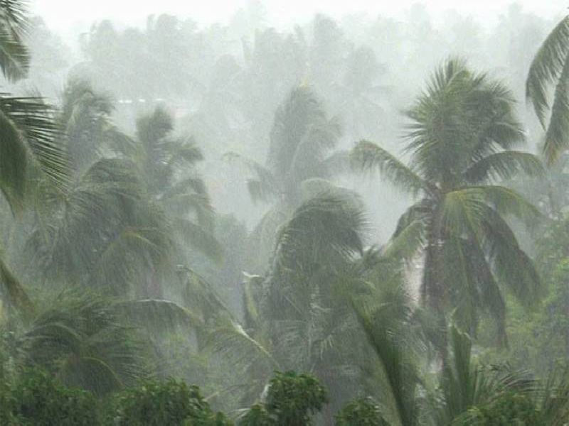 Widespread rain in south Konkan, Vidharbha | दक्षिण कोकण, विदर्भात मुसळधार पावसाचा इशारा