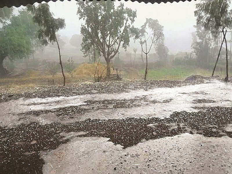 The Farmer is in trouble again; Extreme rainfall in Marathwada causes heavy loss of agriculture | बळीराजा पुन्हा अडचणीत; मराठवाड्यात अवकाळी पावसाने शेतीचे मोठे नुकसान