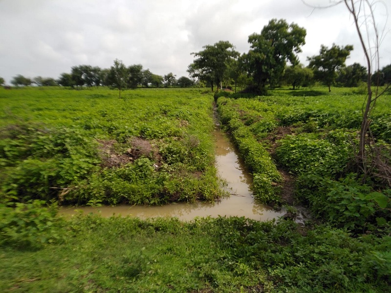 Soybean was hit hardest by heavy rains in Nanded district | नांदेड जिल्ह्यात अतिवृष्टीचा सर्वाधिक फटका सोयाबीनला