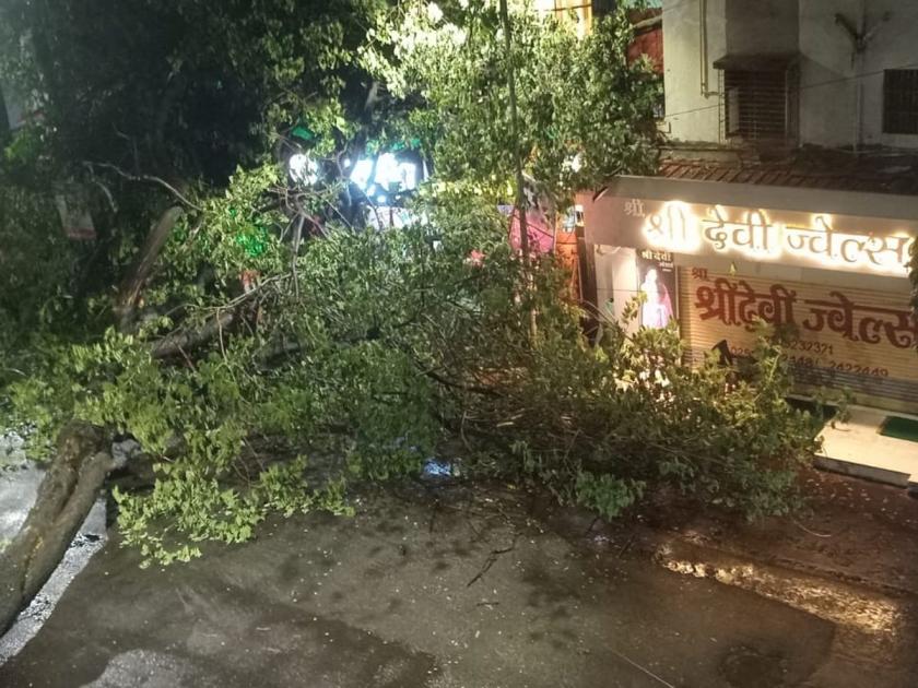 Dombivali: It rained all day in Dombivali too, tree fell on Tilak Path | Dombivali: डोंबिवलीतही दिवसभर बरसला, टिळक पथावर झाड कोसळले