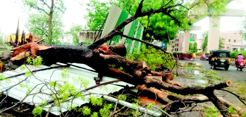 Heavy rains hit Nagpur and other districts | नागपूरसह जिल्ह्याला वादळी पावसाचा तडाखा
