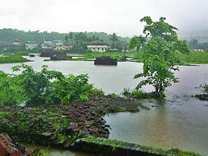  Panvel area fears floods | पनवेल परिसराला पुराची भीती