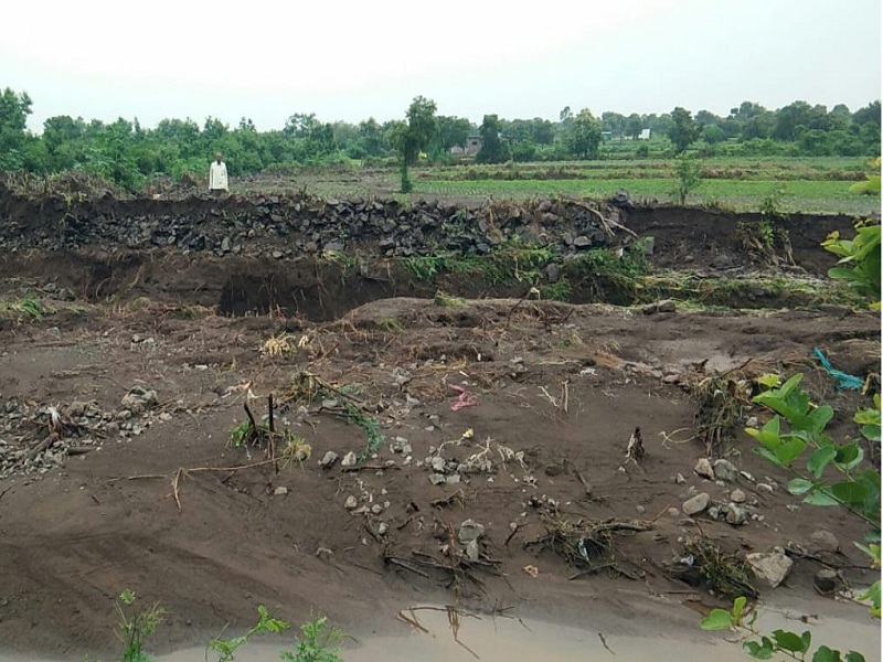 Heavy rains hit Parbhani district; Record of excess rainfall in 31 circles | परभणी जिल्ह्याला मुसळधार पावसाचा फटका; ३१ मंडळात अतिवृष्टीची नोंद