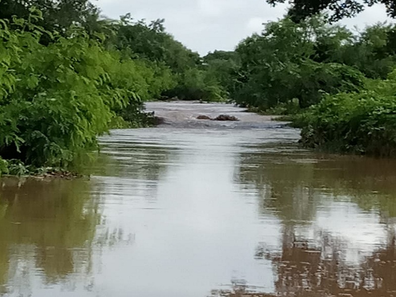 Heavy Rain falls in Pathari taluka; The river filled the tr | पाथरी तालुक्यात परतीचा पाऊस जोरदार बरसला; नदीनाले तुडुंब भरले