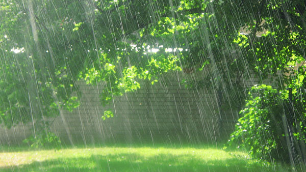 Parbhani district receives 17% of annual average rainfall | परभणी जिल्ह्यात वार्षिक सरासरीच्या १७ टक्के पाऊस