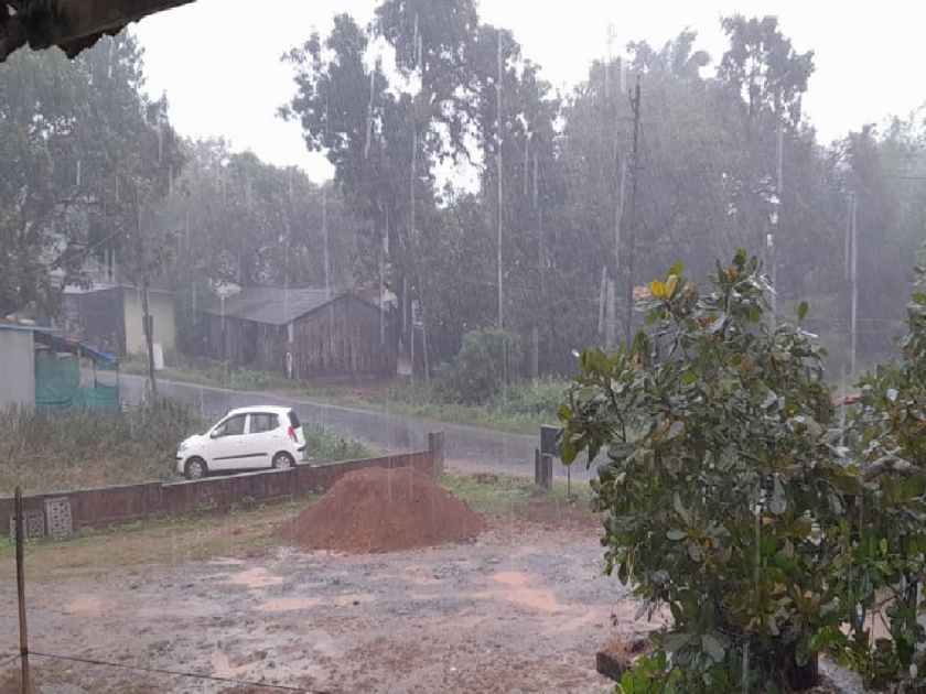 Unseasonal rain with cloudy weather in Sindhudurg district | जिल्ह्यात ढगाळ वातावरणासह अवकाळी पाऊस; आंबा, काजू बागायतदार संकटात
